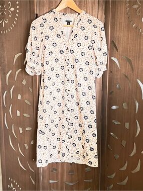 Ann Taylor Cream and Black Floral Button-Front Dress